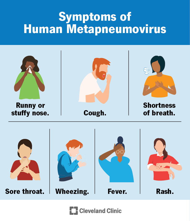 Human Metapneumovirus