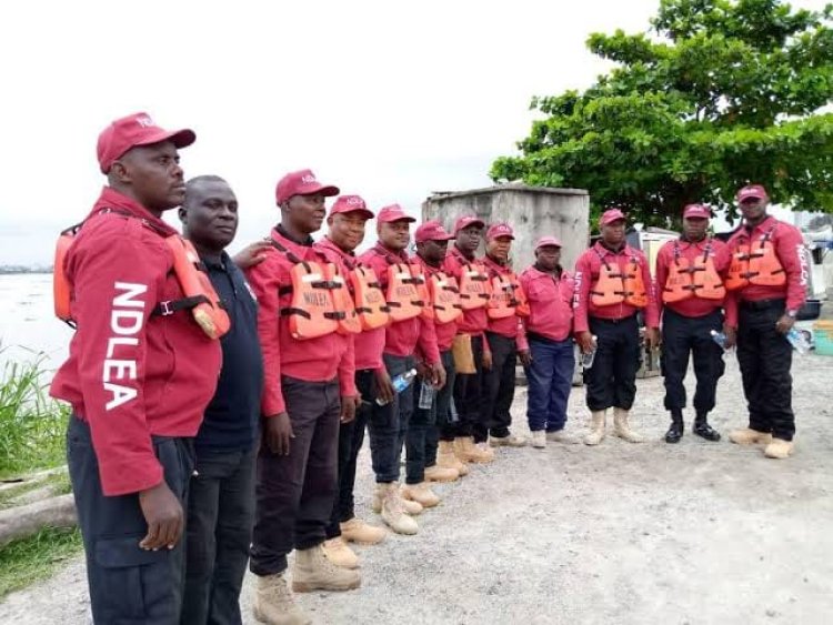 NDLEA warns against 'Black Mamba' in Lagos and Kano