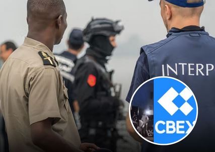 EFCC officials probe CBEX Ponzi scheme, working with Interpol to apprehend culprits.